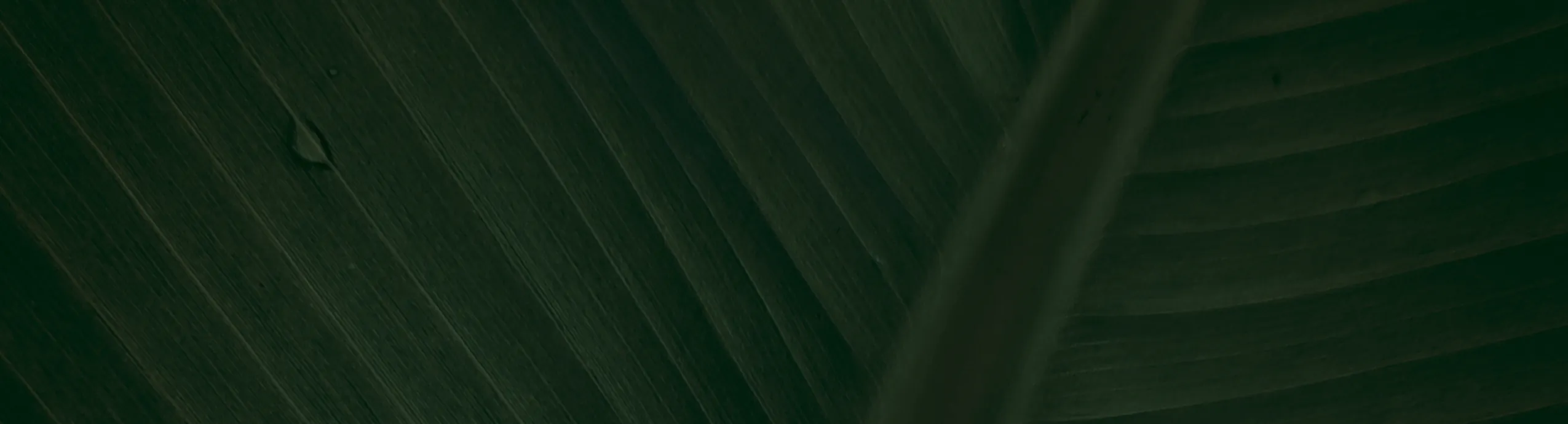 Yara Abotek – Potasio